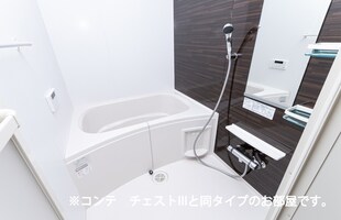 スプリング　コートの物件内観写真